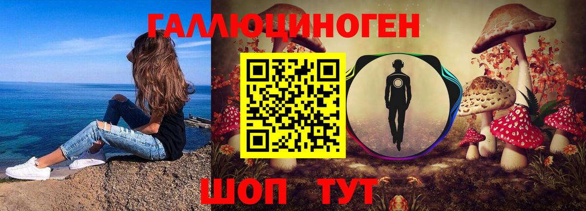 Галлюциногенные грибы MAGIC MUSHROOMS  Галлюциногенные грибы Magic Shrooms  Вход с VPN  Городец 