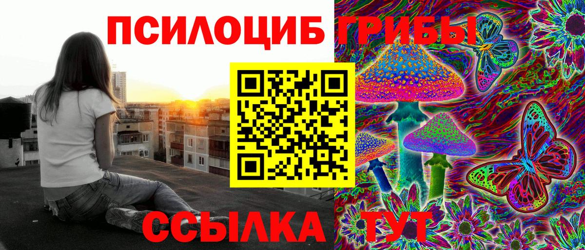 Псилоцибиновые грибы MAGIC MUSHROOMS Городец